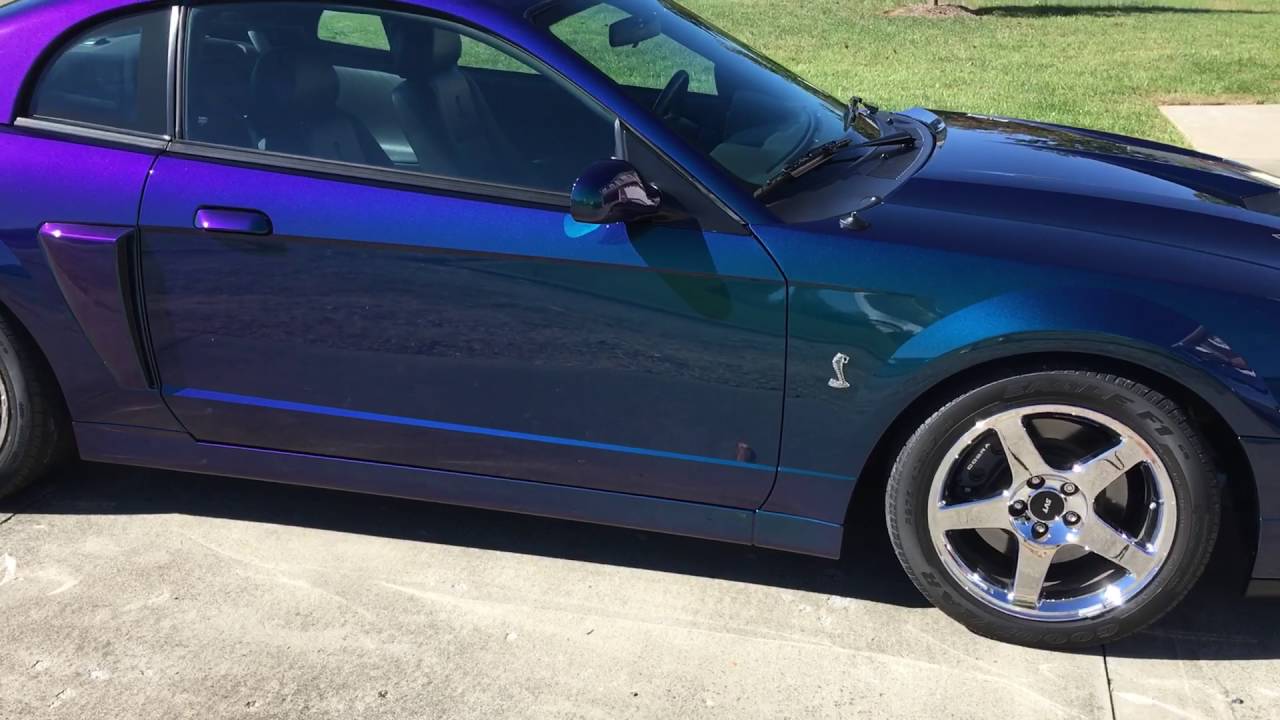 2004 Terminator Cobra Mystichrome 9k Miles Walk Around