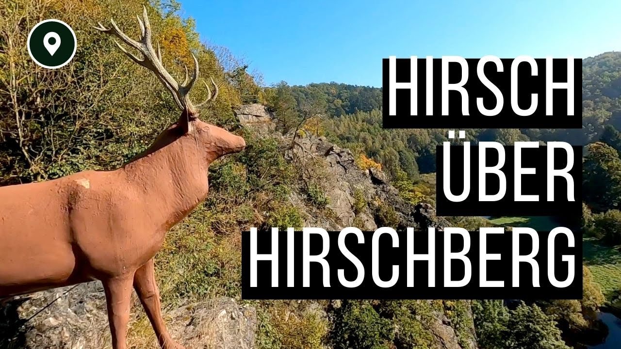 Hirschberg: Hirsch, Hängesteg und großartige Natur
