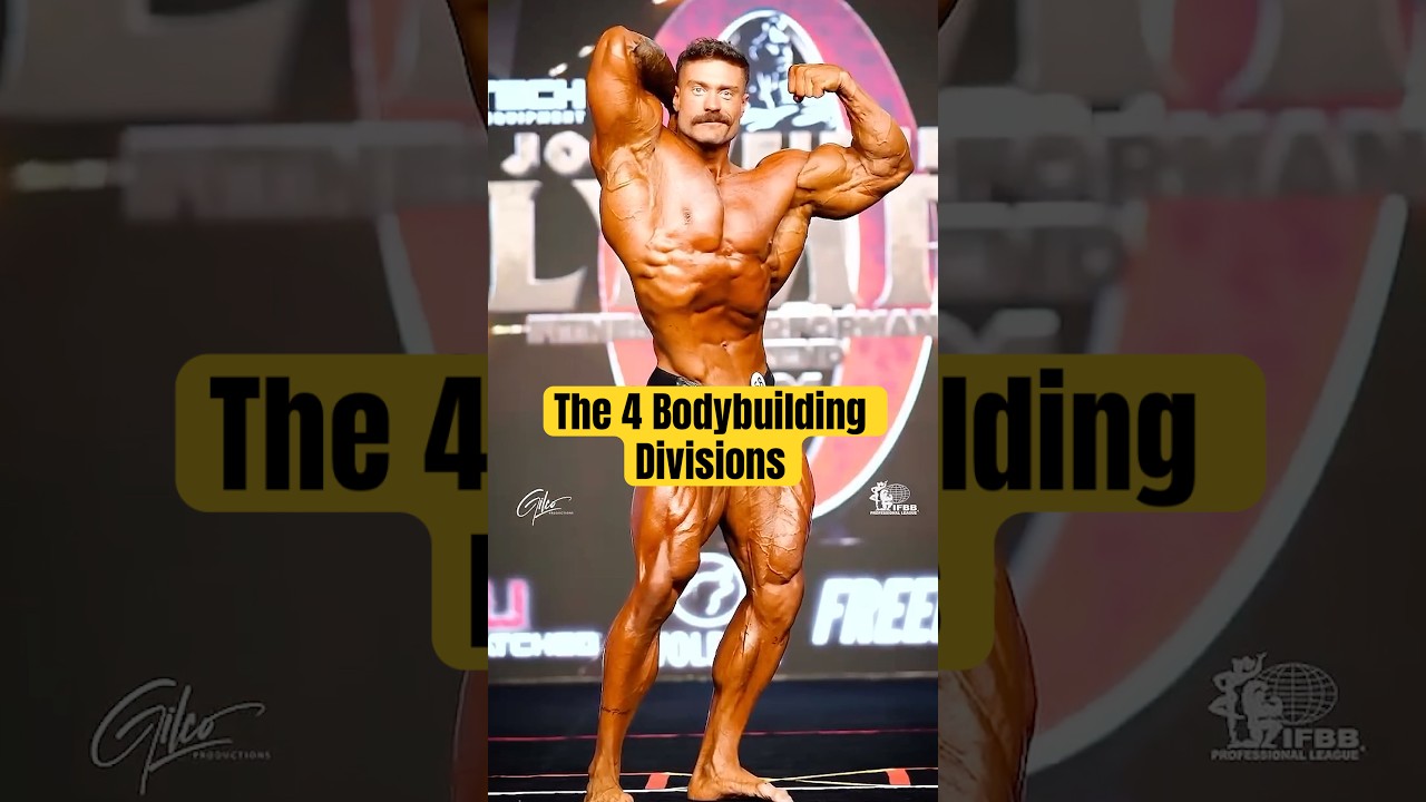 The 4 Bodybuilding Divisions!