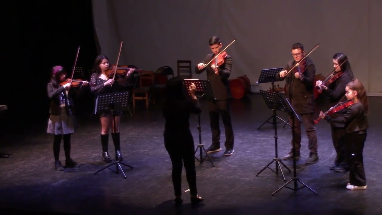 Violas - Canon