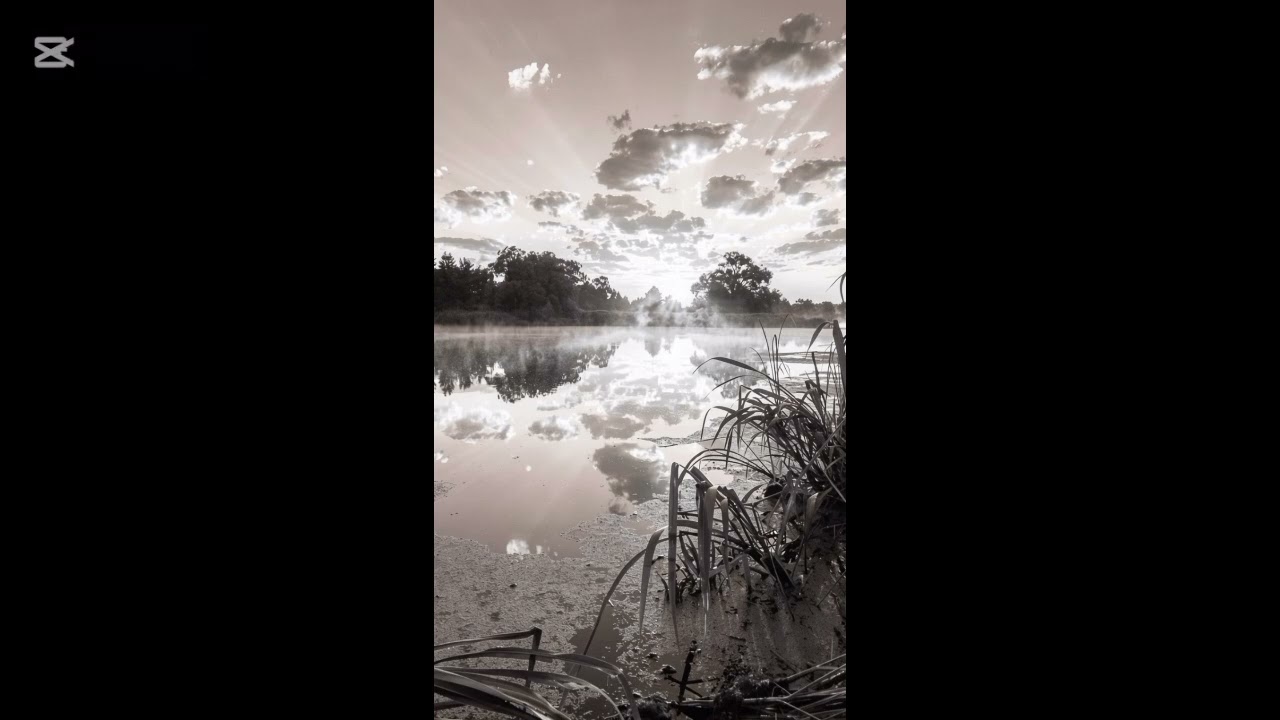 М.Цветаевой.( Реквием).