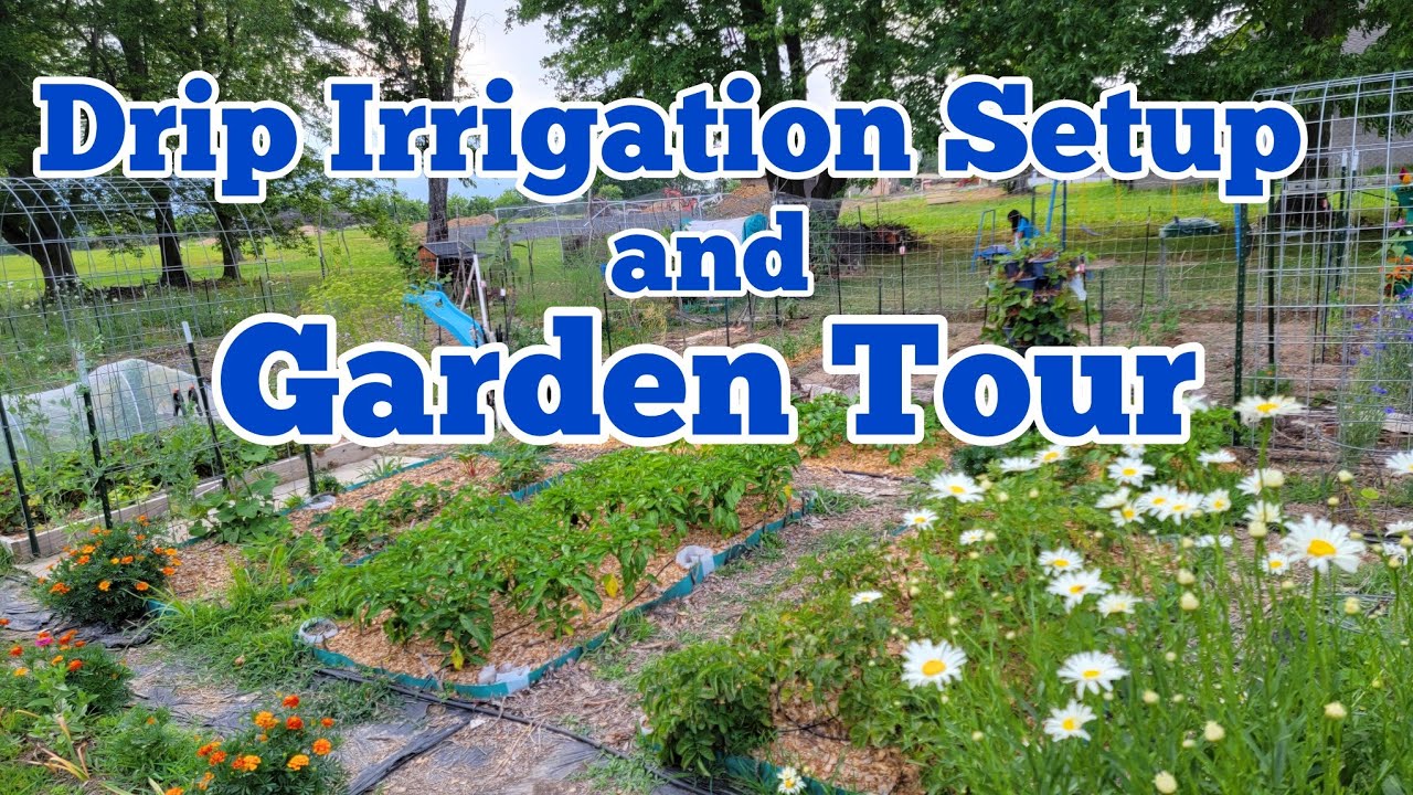 Watering My Backyard Garden: Drip Irrigation System and June Garden Tour 2023