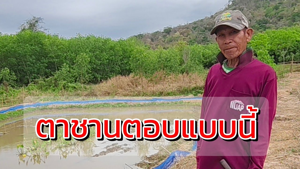ตาชานตอบแบบนี้