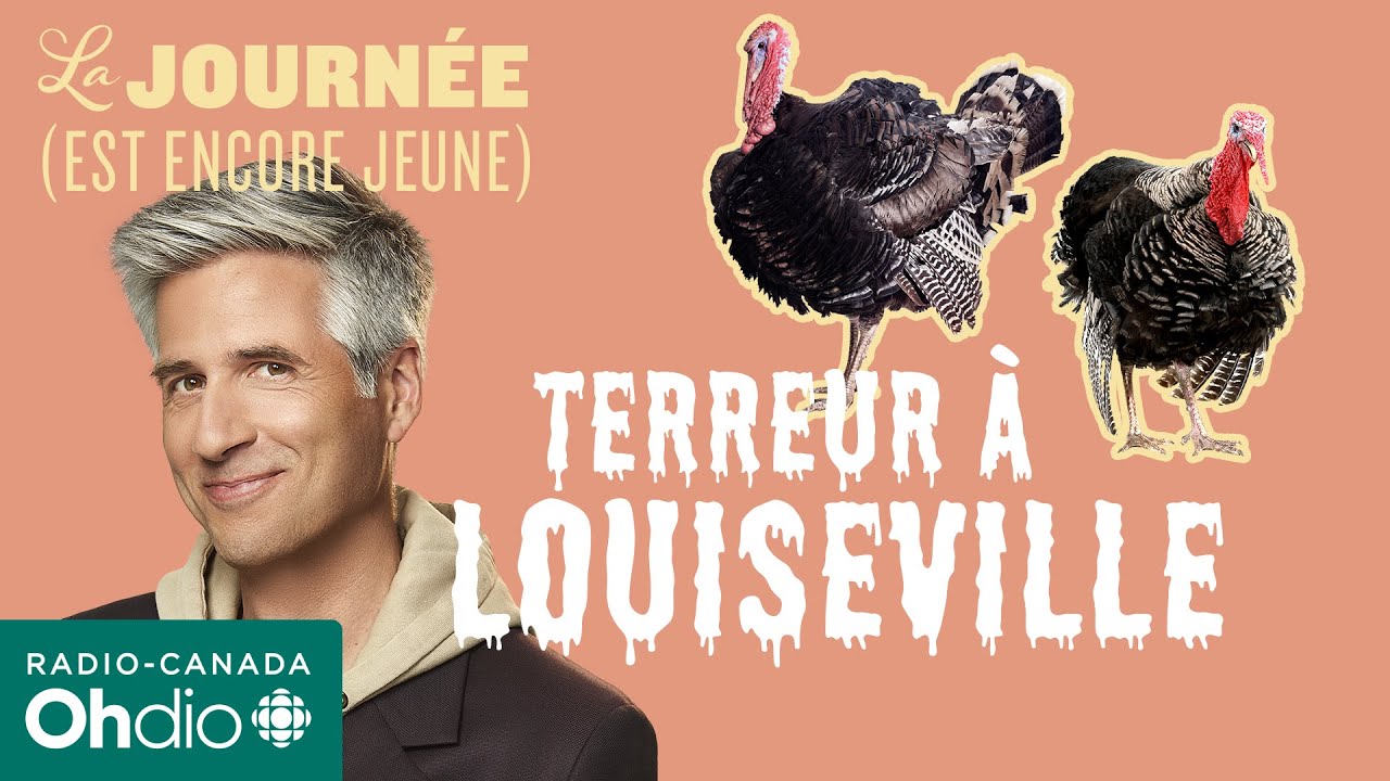 Terreur à Louiseville : des dindes noires effraient la population | La journée (est encore jeune)