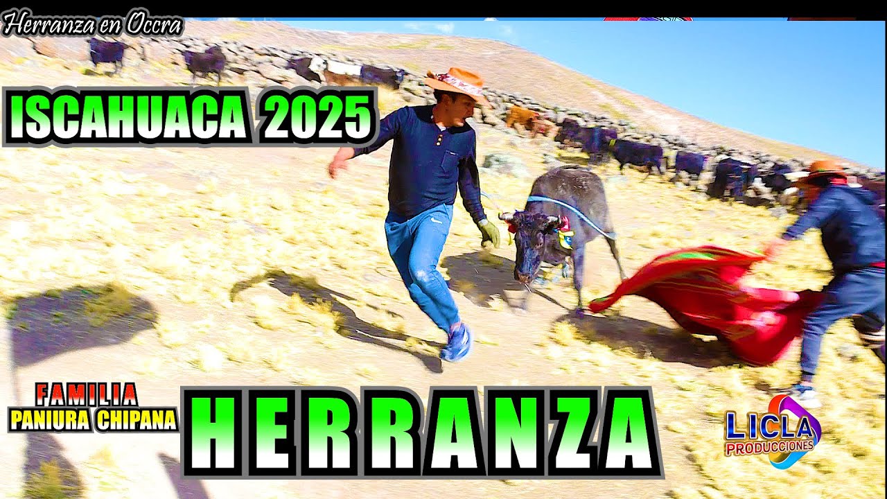 HERMOSA HERRANZA EN LOS ANDES DE ISCAHUACA  AYMARAES APURIMAC ( FAMILIA PANIURA - CHIPANA)