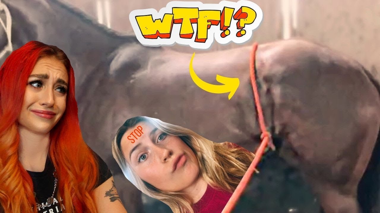 THIS HORSE 