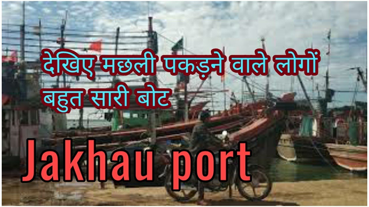 Jakhau port - fishing bot short video