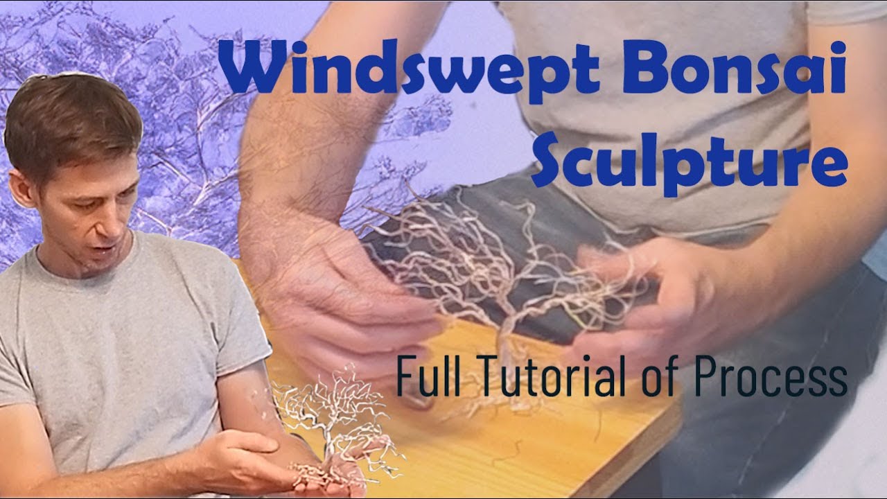 Bonsai Tree Creation Tutorial - Windswept Style Sculpture - Step By Step Guide