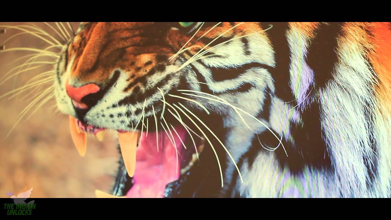 RIG REVEAL 2016 - Teaser | #BuildInIndia&trade; | #TheIndianUnlocks&trade;
