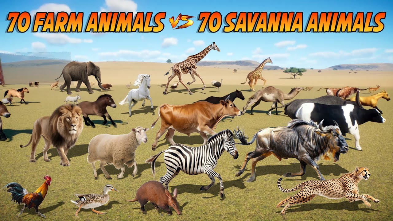 Гонка 70 животных на ферме против 70 животных саванны в Planet Zoo включает слона, льва, корову, ...