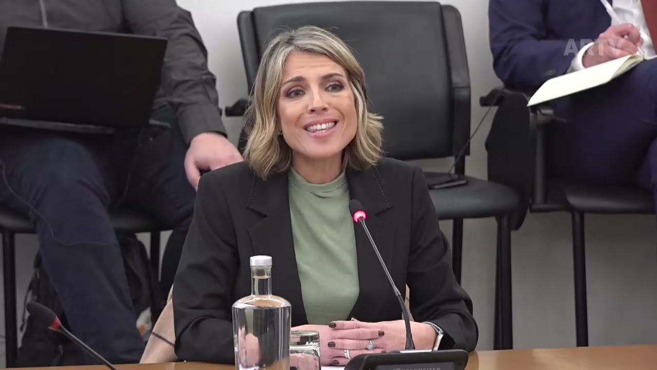 Caso Gémeas: Audição de Sandra Felgueiras