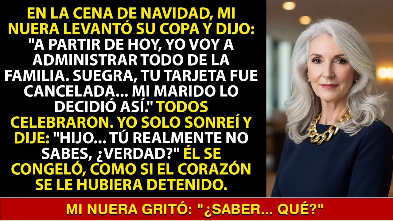 Mi Nuera Dijo Que Controlaría Todo En La Cena De Navidad  Yo Sonreí： “Hijo… ¿Tú No Sabes？”