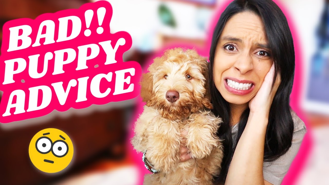 COMMON PUPPY MISTAKES TO AVOID! 😮 Too many pet parents follow this bad advice 🙁