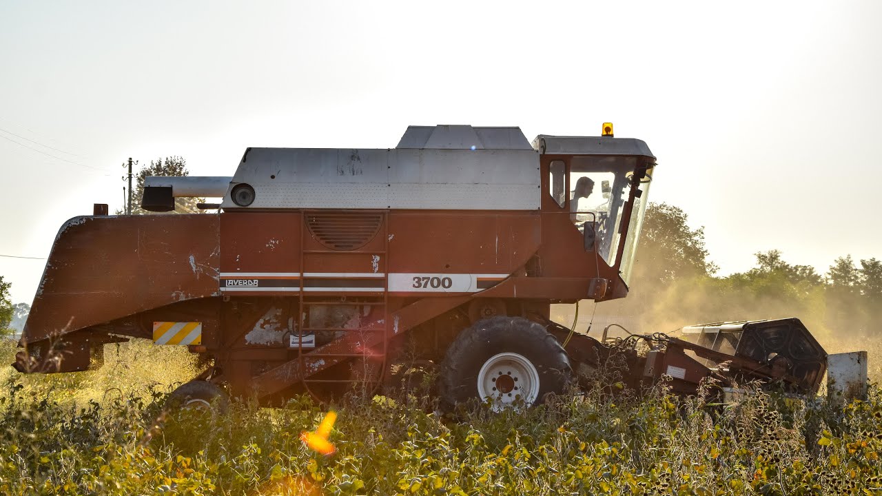 Fiatagri Laverda 3700 | Raccolta Soia 2018