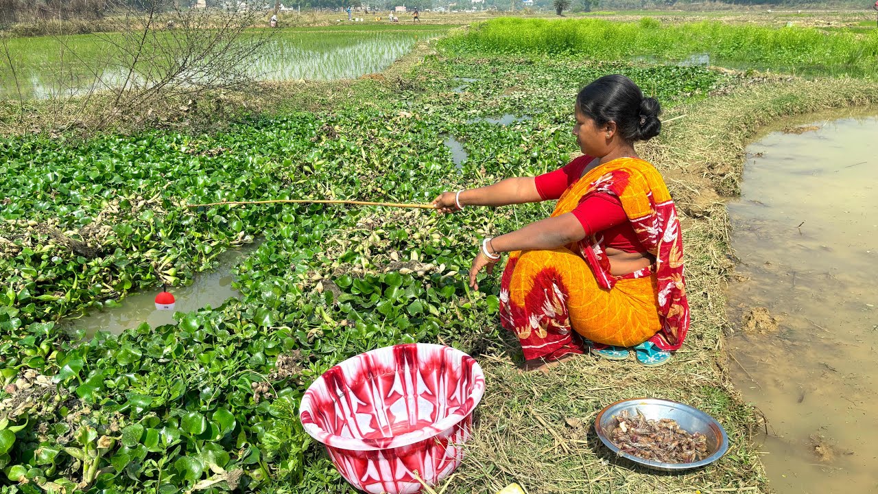 Fishing video || The amazing lady catches a lot of fish from the village canal || best hook fishing 