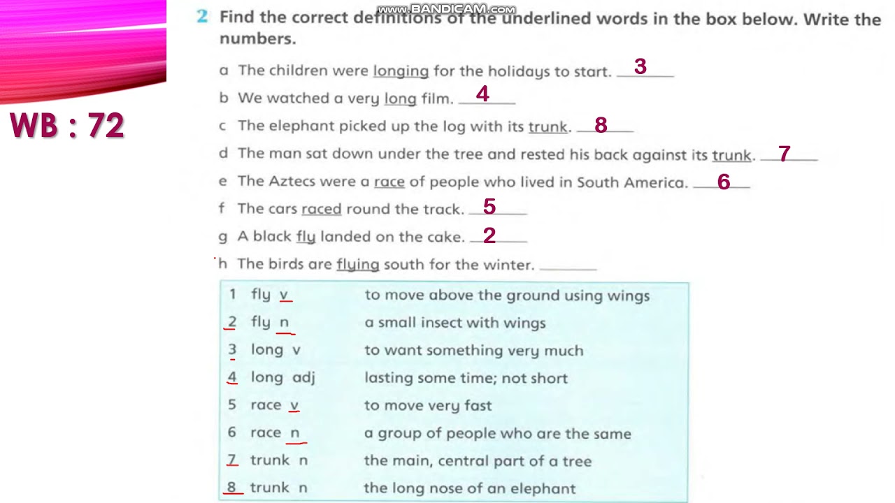 English world 6  /Unit 8 / WB ( 72 + 73 )