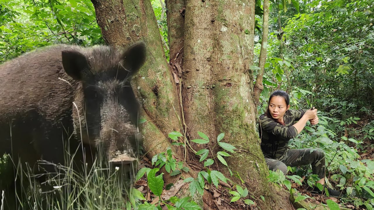 Set A Trap Tor Wild Chickens And Be Attacked By Ferocious Wild Boars / Bushcraft survival