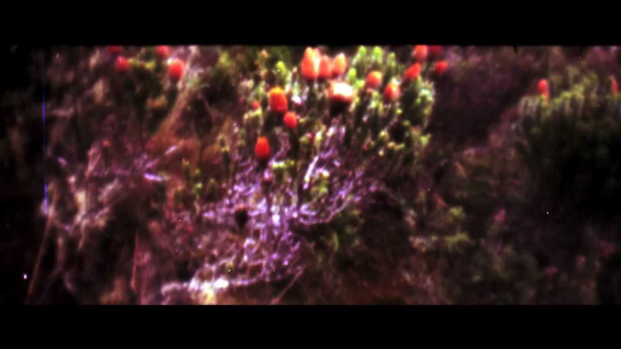 Da Pawn - Dibujo por Hoy (Video Oficial)