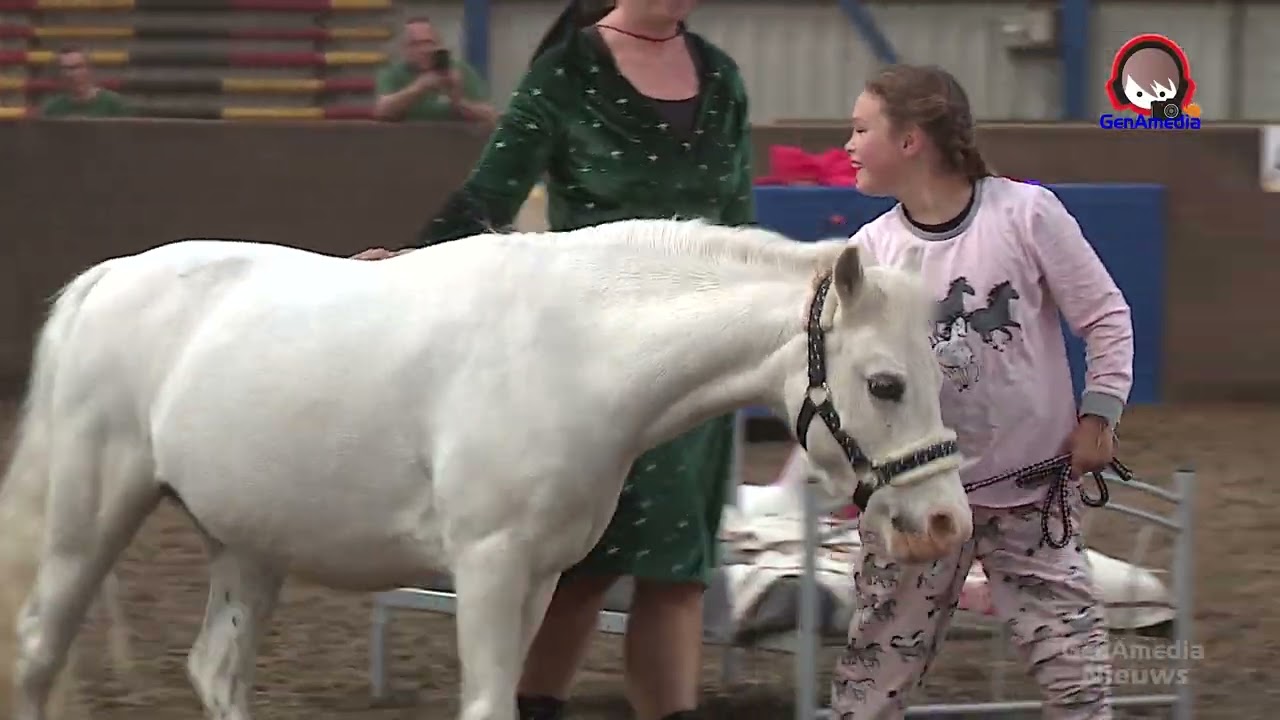 55 Jaar Manege de Driesporen in Onstwedde - Droomvlucht te Paard