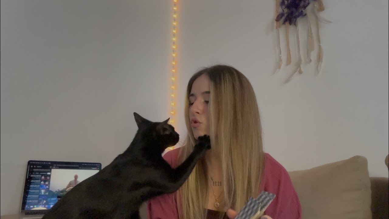 Ai o misiune dubla! Dar nu uita sa te distrezi!