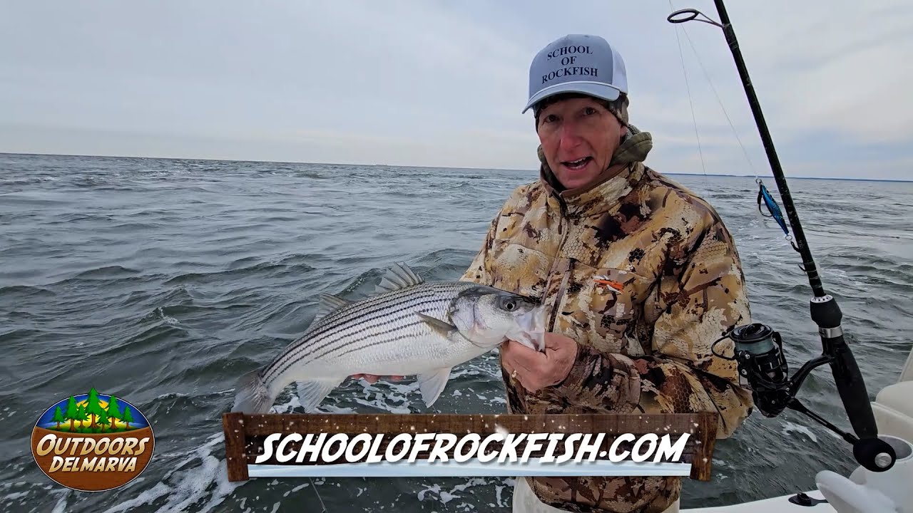 Taking a Seat at the Front of the Classroom at the School of Rockfish