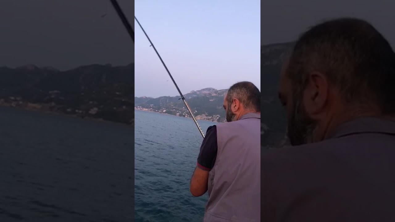 Cattura di un Orata da 1 kg  al porto Salerno - tecnica: inglese con galleggiante e pasturatore.