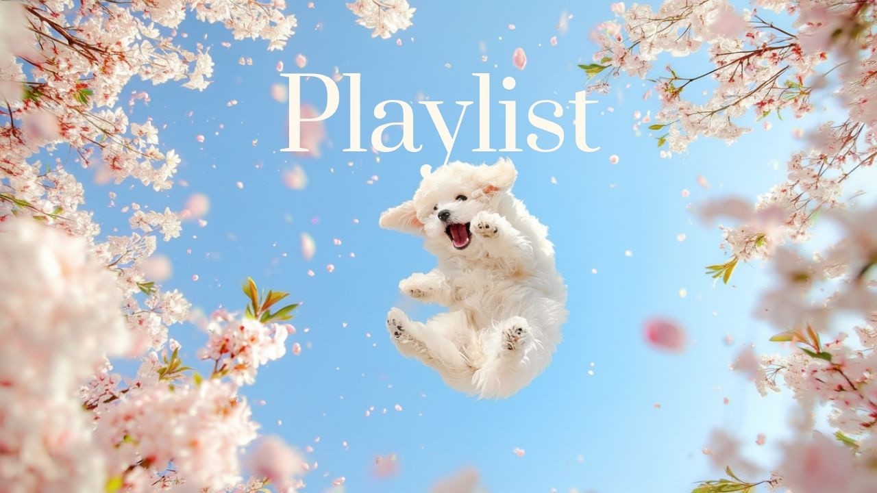 [PLAYLIST] Весенний плейлист для такого дня 🌷 | Кафе · Для работы · По пути на работу