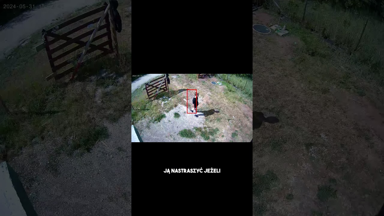 Wykrywanie i podążanie za ruchem | ORLLO Z17 PRO 4K #monitoring #budowa #orllo