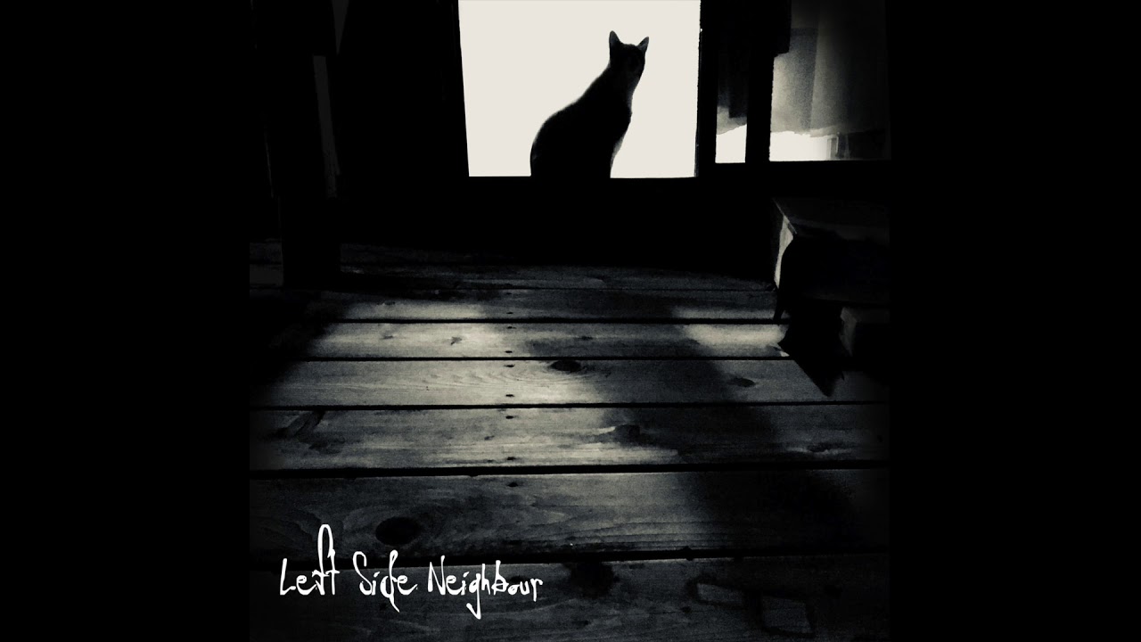 Left Side Neighbour - Shock the Mouse