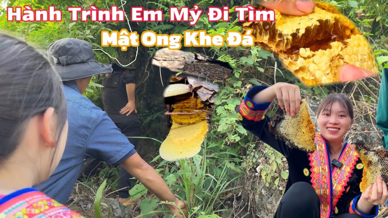 Em Mỷ Đi Tìm ' Mật Ong Rừng ' ở Sâu Trong Khe Đá. Tháng 3 Ong Rừng ít Mật Nhưng Tốt Nhất Trong Năm