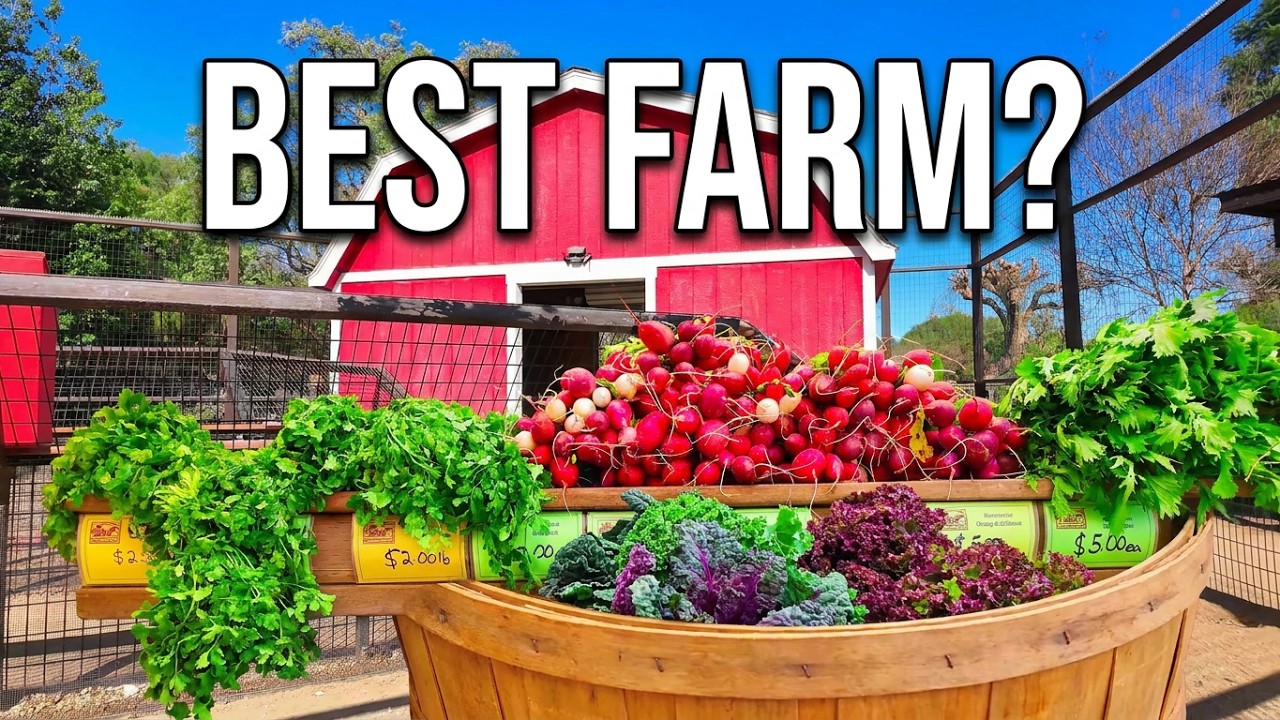Underwood Farm in Oxnard California | MOST FUN Bee Train  Ride 2026