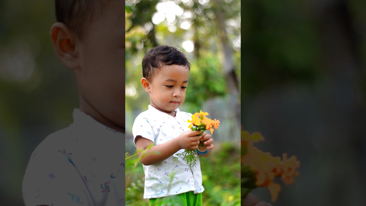 Nadaniyan | Baby's Cinematography | Baby's Cinematography tips | #shorts #cinematography #lipson