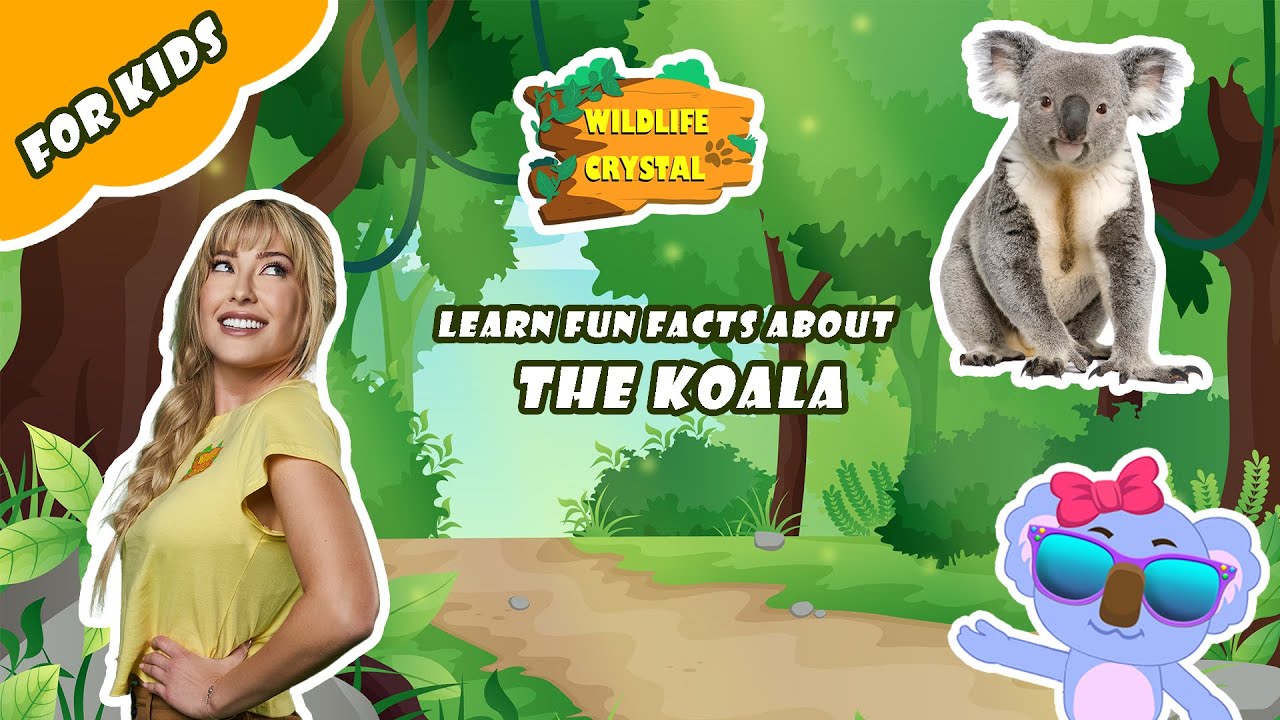 Koala Facts