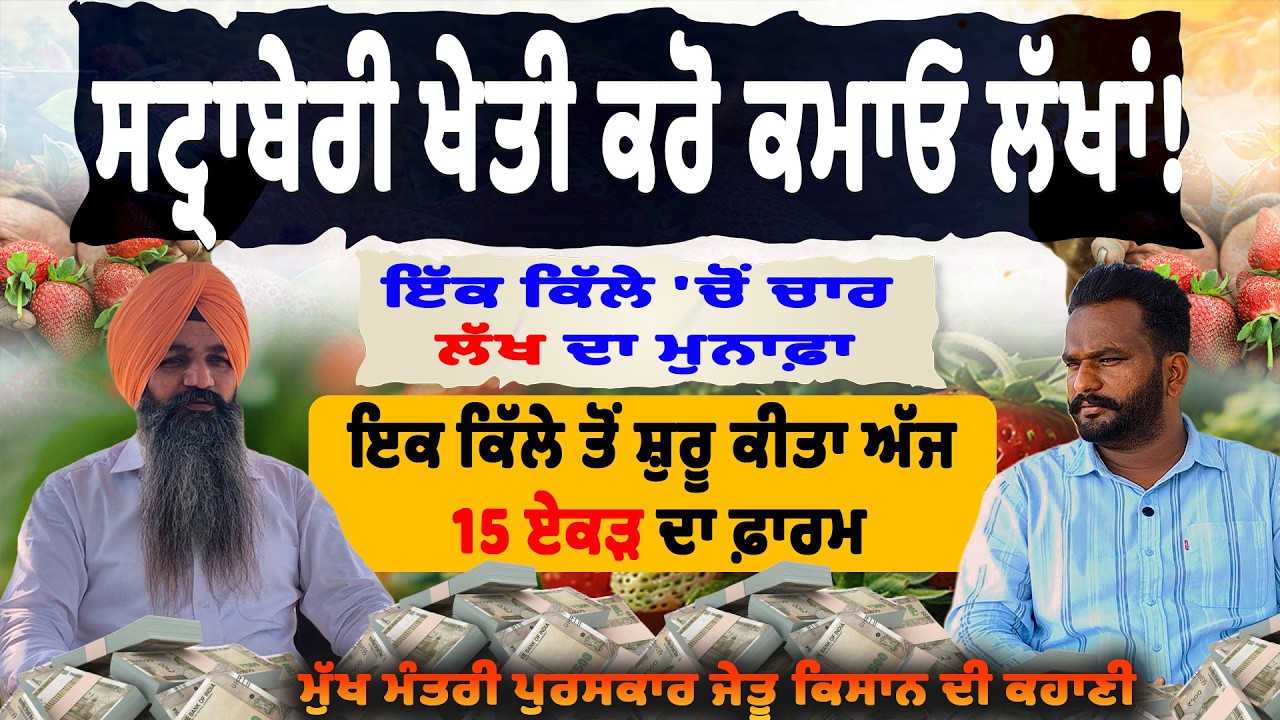 ਮੁੱਖ ਮੰਤਰੀ ਪੁਰਸਕਾਰ ਜੇਤੂ ਕਿਸਾਨ ਦੀ ਕਹਾਣੀ !  ਇੱਕ ਕਿੱਲੇ 'ਚੋਂ ਚਾਰ ਲੱਖ ਦਾ ਮੁਨਾਫਾ
