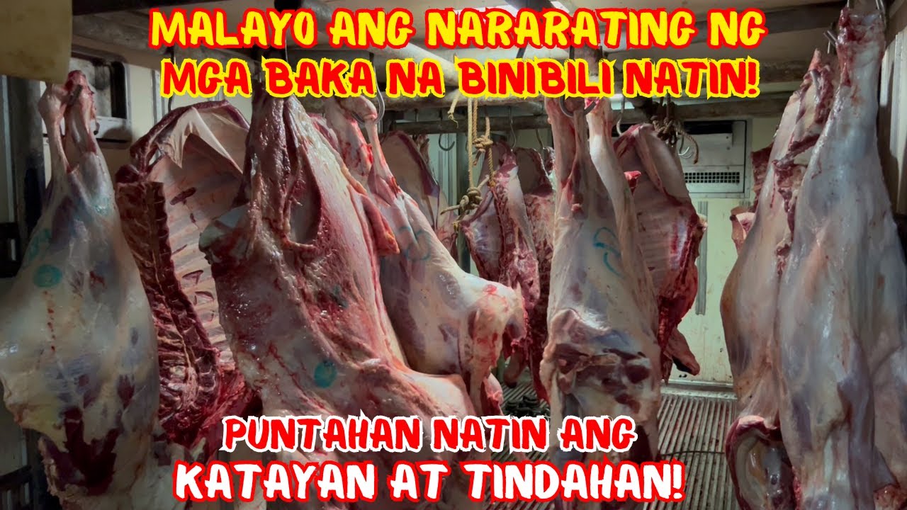 MALAYO ANG NARARATING NG MGA BAKA NA BINIBILI NATIN! | PUNTAHAN NATIN ANG KATAYAN AT TINDAHAN!