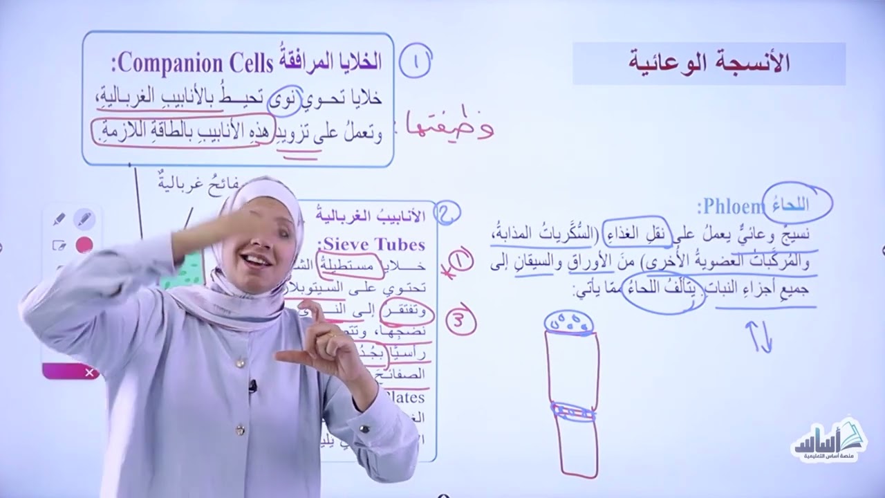 مراجعة امتحان الشهر الثاني - تاسع (ف2) || أحياء مع أ. نهى توبة
