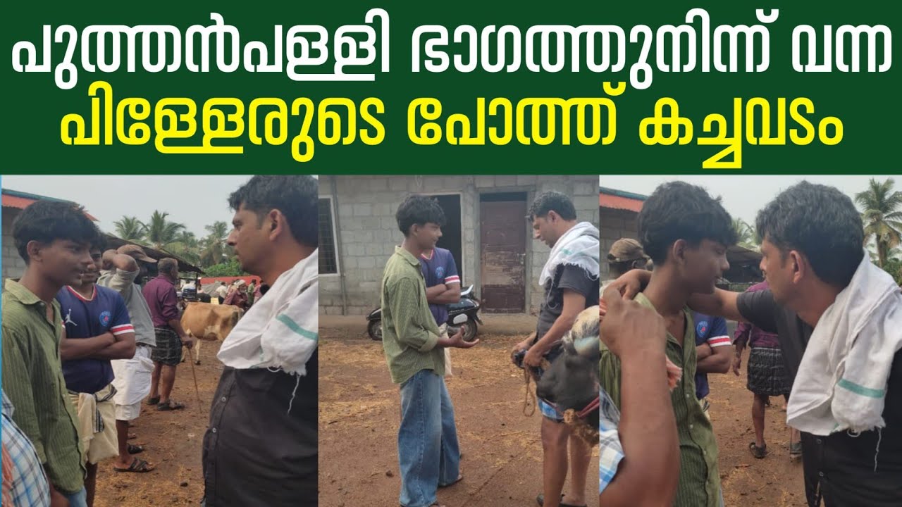പുത്തൻപള്ളി ഭാഗത്ത് നിന്നും വന്ന പിള്ളേരുടെ പോത്ത് കച്ചവടം😔😔#simple_work യൂട്യൂബ് ചാനൽ