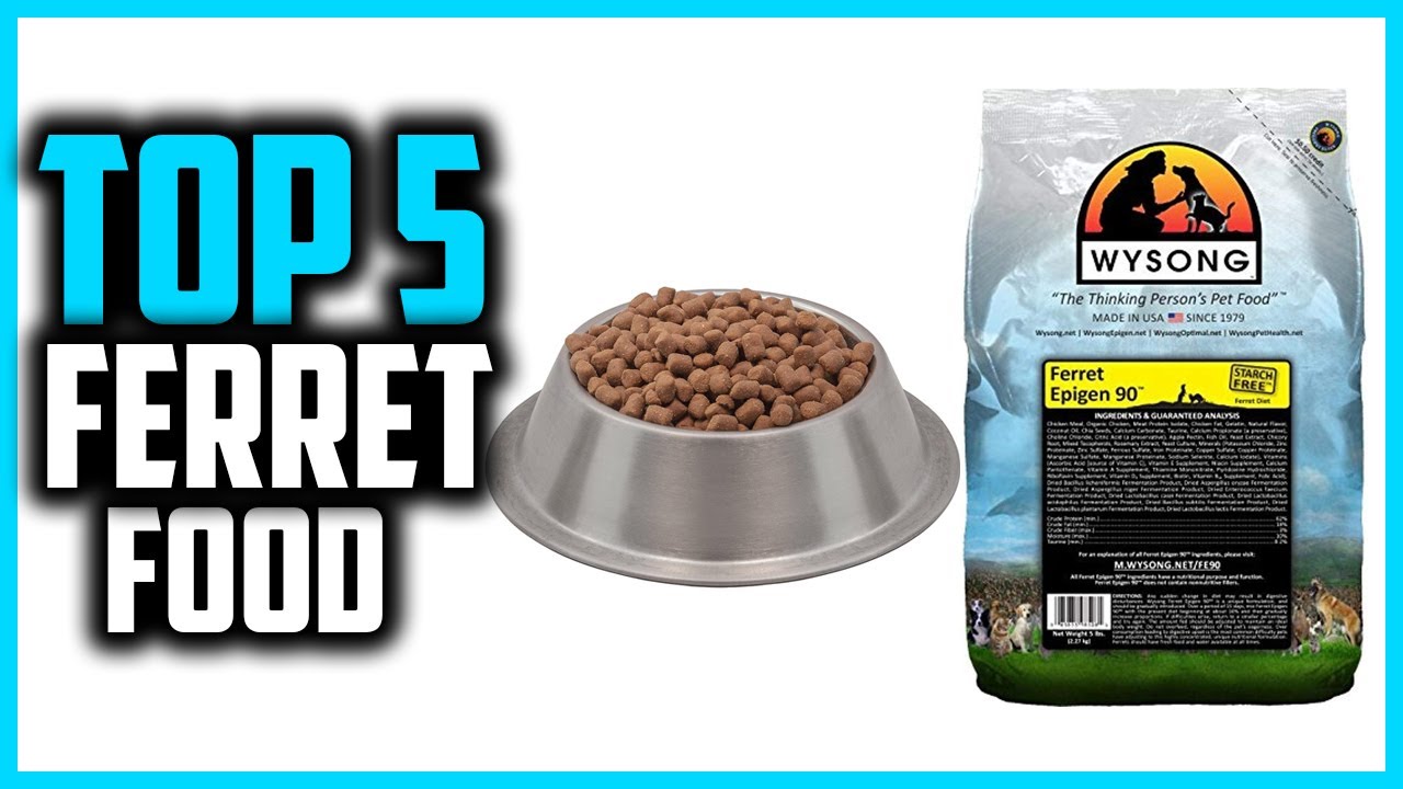 ✅Best Ferret Food in 2023