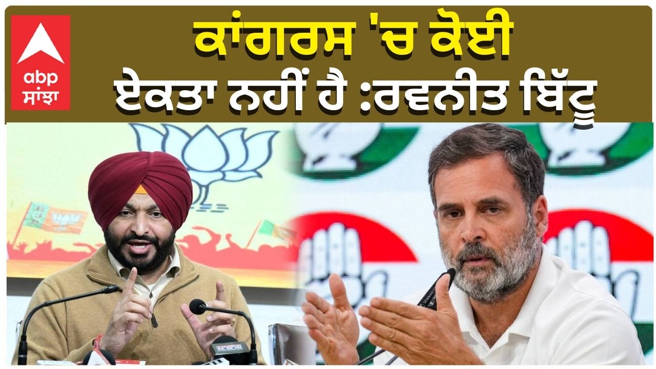 Rahul Gandhi Vs Ravneet Bittu | ਕਾਂਗਰਸ 'ਚ ਕੋਈ ਏਕਤਾ ਨਹੀਂ ਹੈ : ਬਿੱਟੂ  | Punjab Congress | Bjp