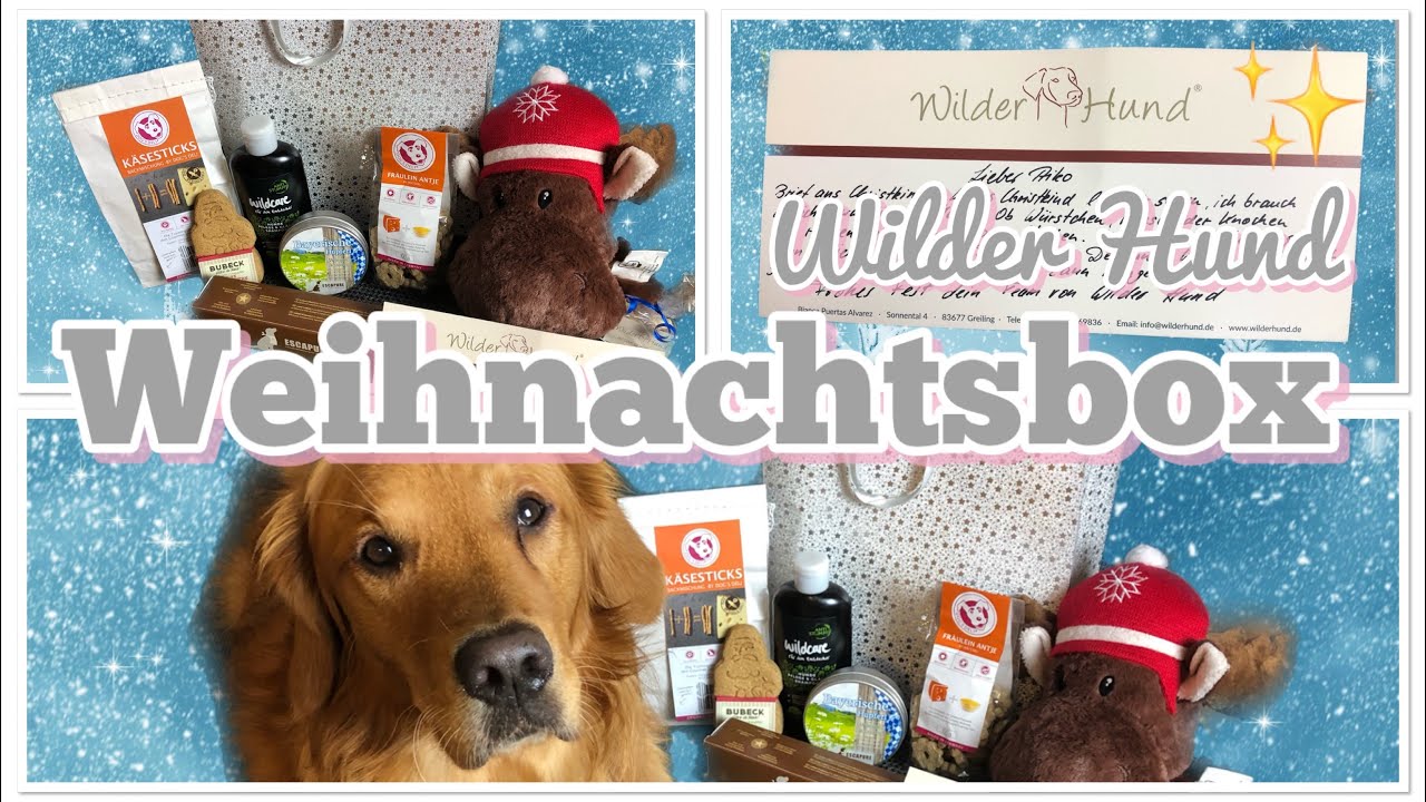 WILDER HUND Weihnachtsbox 🎄🌟