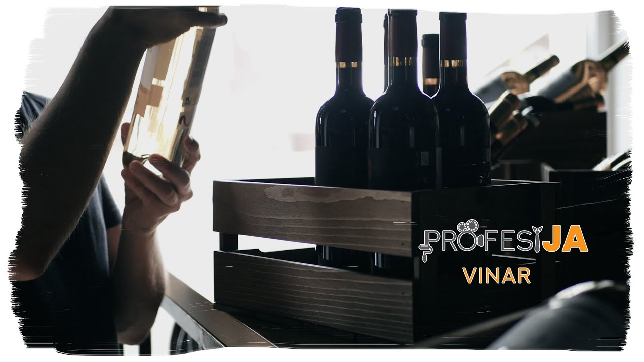 PROFESIJA 3 - Vinar