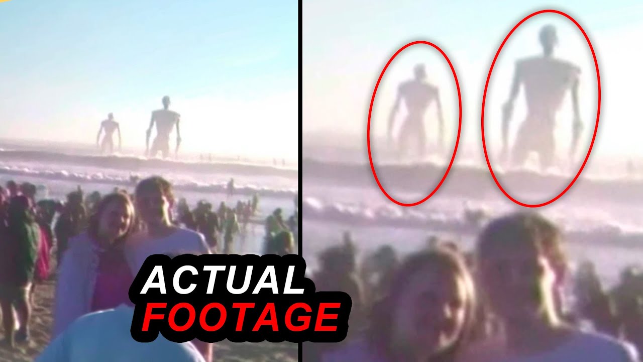 These Strange Videos Have The Internet Going Wild!