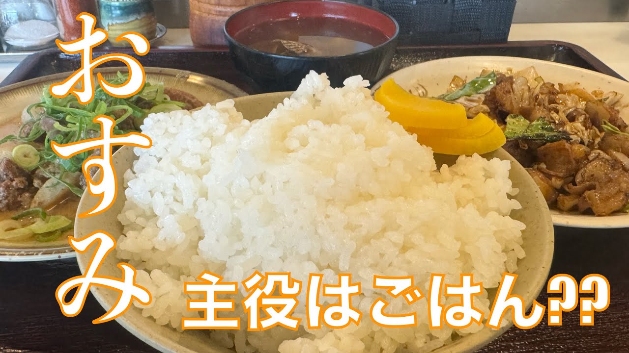 『焼鳥・ホルモン おすみ』無くなってしまったドライブインにあったその店は移転先でも超人気店‼️ ガッツリどて焼き&ホルモン焼きを大盛ごごはんでがっつくーッ【みずのっち孤食旅】