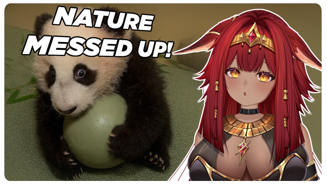 VTuber First Time Reacts to Casual Geographic... THESE THINGS GOT NURFFED SO HARD!