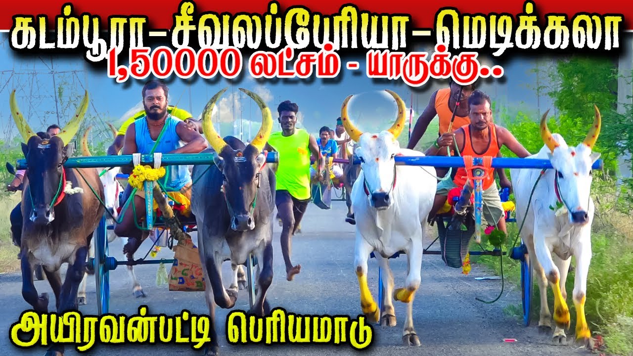 தூத்துக்குடி [மா]  அயிரவன்பட்டி 150000 லட்சம் பந்தயம் 24:04:2024...கிரிஷ் ஸ்டுடியோ