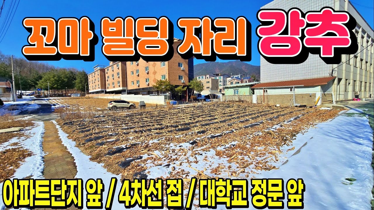 [NO. 917] 꼬마빌딩 지어 수익보실분! 아파트단지, 대학교정문, 4차선도로 접한 급매물토지인 제천토지매매
