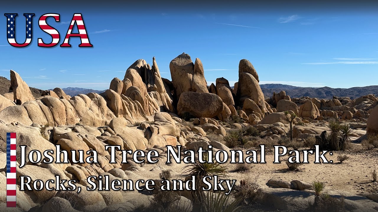 Walking Through Joshua Tree National Park