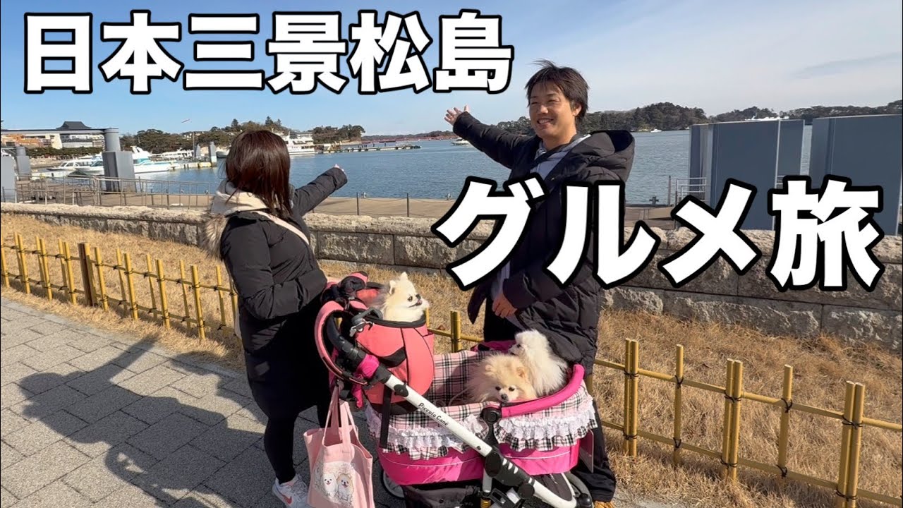 日本三景松島にあるペットと行ける中華料理に潜入してみた
