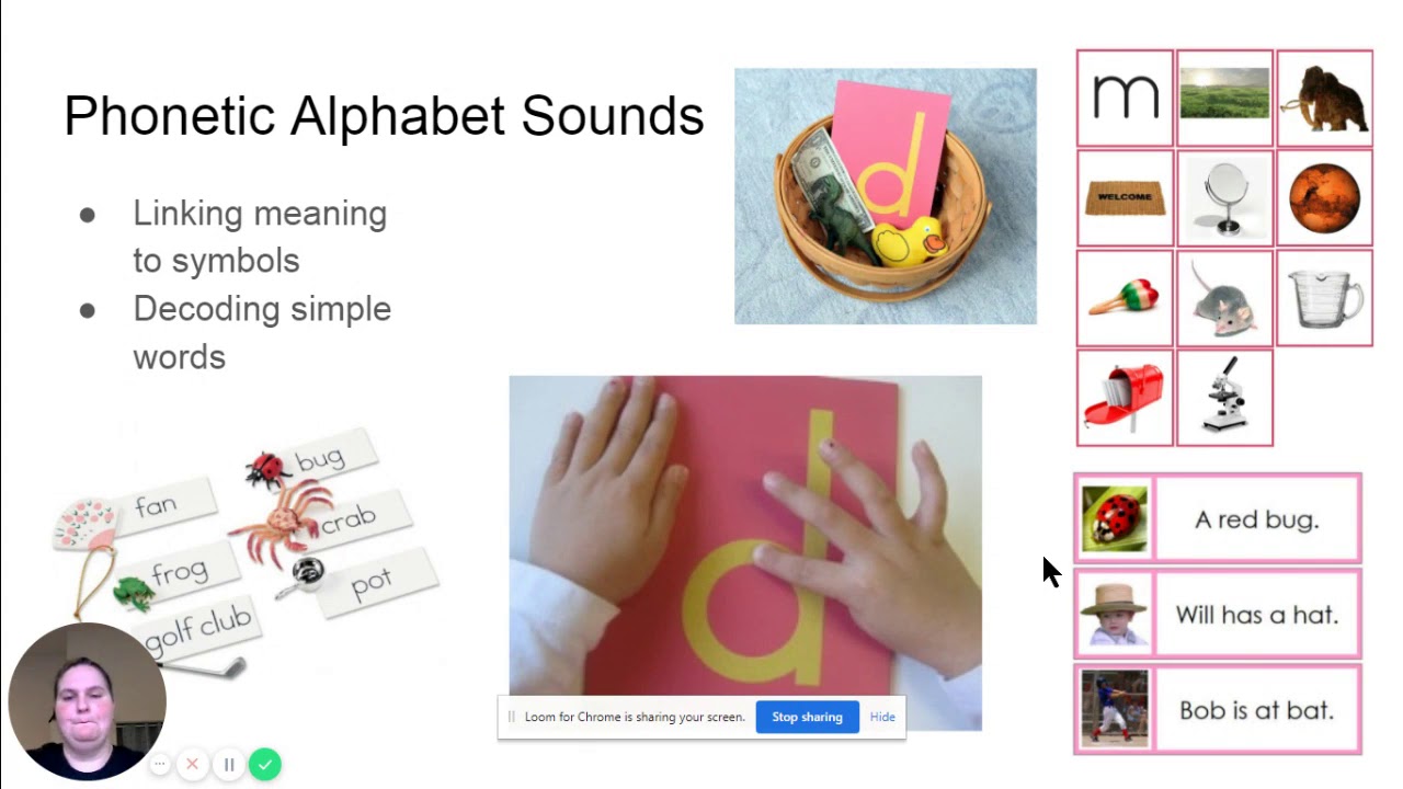 Montessori Language Curriculum   Google Slides