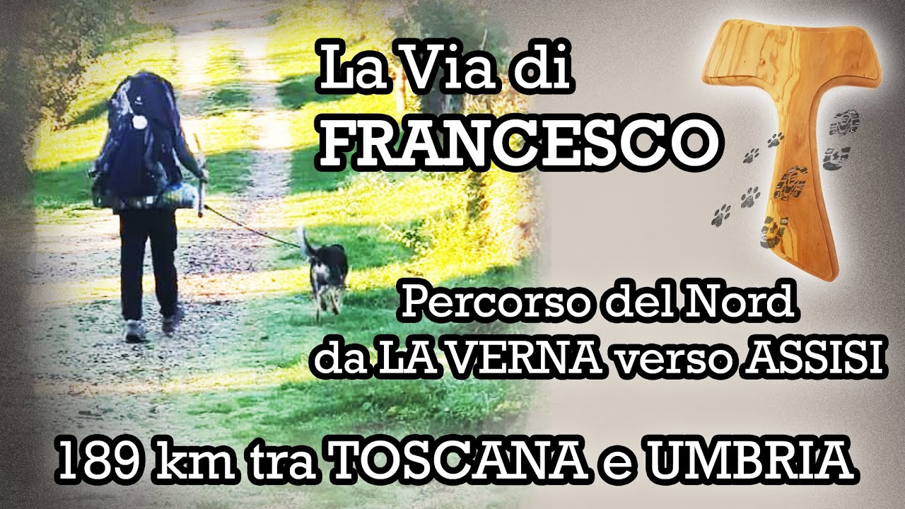La VIA DI FRANCESCO insieme al CANE - Percorso del Nord - da LA VERNA  verso ASSISI - 189 km